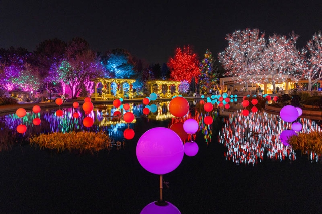 2021 monet pool