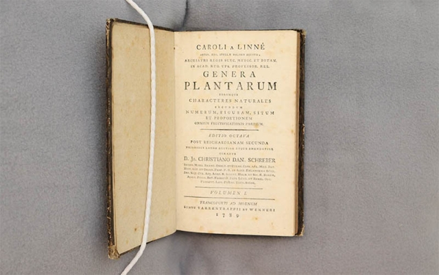 Genera Plantarum