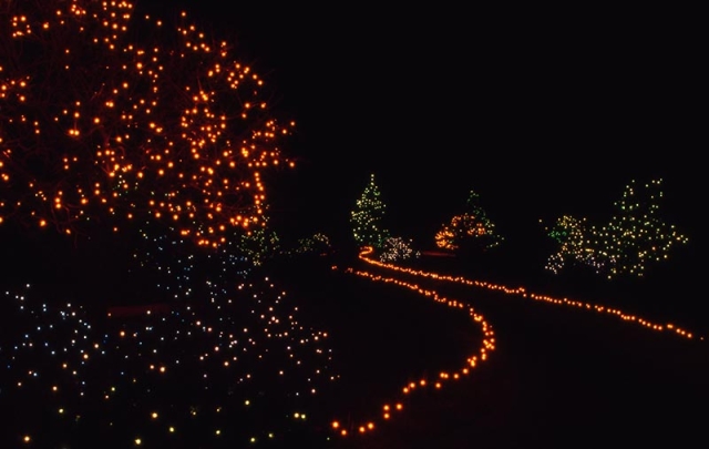 japanese garden