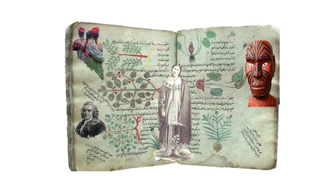 Taxonomy
