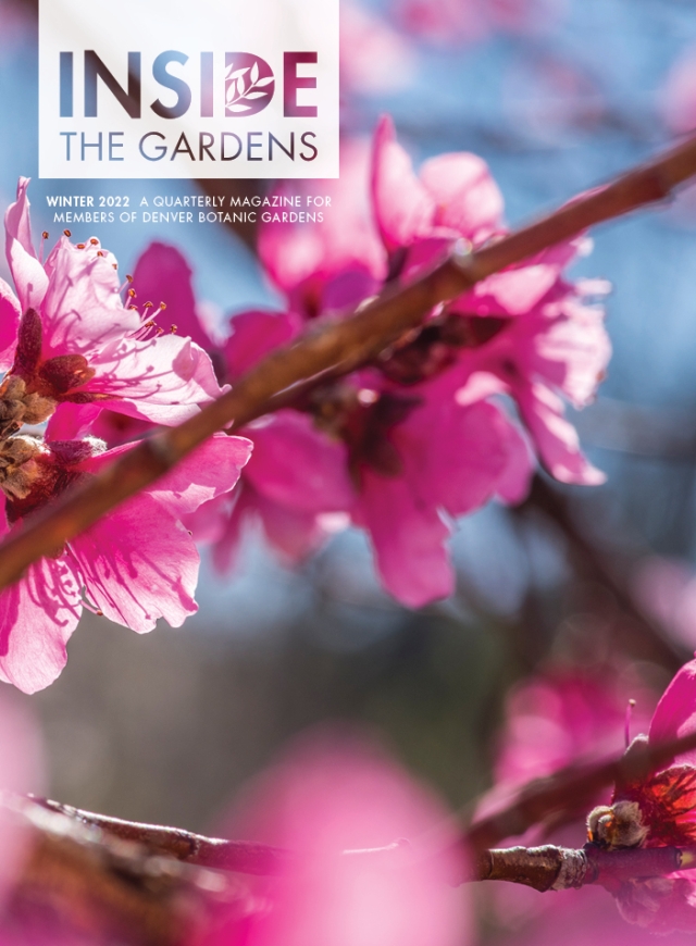 ITG Magazine Winter 2022