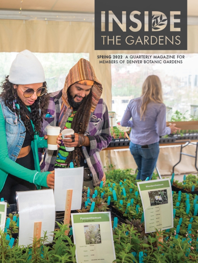Inside the Gardens Spring 2022