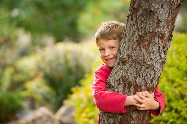 tree hug