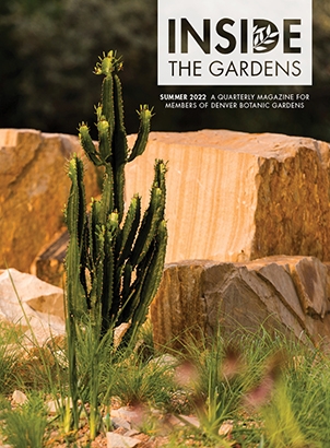 Cover for ITG Summer 2022 Magazine.