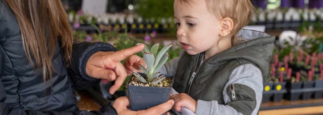 Fall Plant & Bulb Sale with adult and toddler looking at a plant