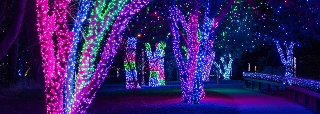 Winter Events Denver Botanic Gardens Winter Events Denver Botanic Gardens