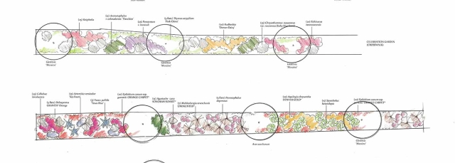 York Street row design