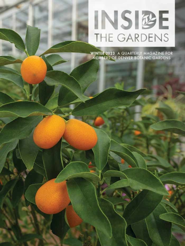 Winter 2023 Inside the Gardens magazine cover