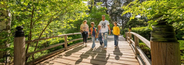 Adults and children crossing the bridge by the Japanese Garden