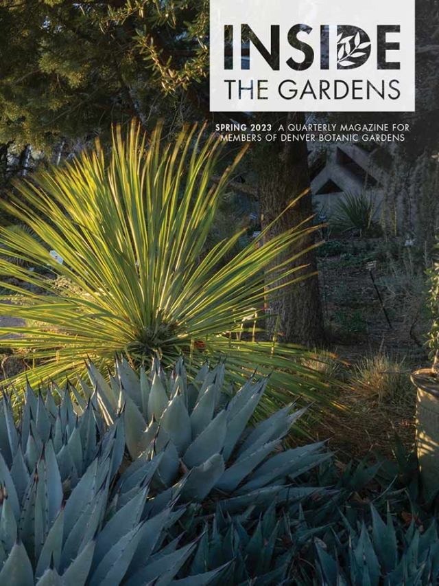 ITG Magazine Q2 Spring 2023 Cover