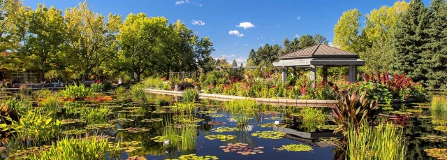 Monet Pool and the Water Garden Gazebo in the summer Monet Pool and the Water Garden Gazebo in the summer