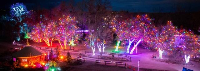 Colorful lights at Trail of Lights at Chatfield Farms