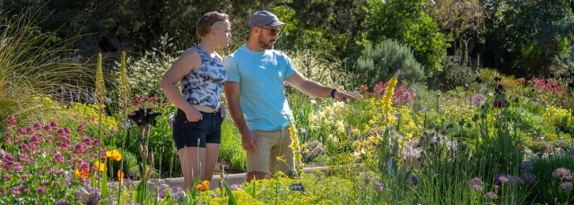 Water-Smart Garden