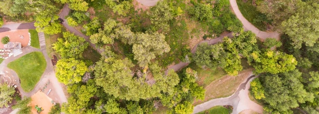 Chatfield Farms restoration project