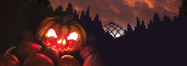 Glow at the Gardens, photo by Emilia Willberg, Unsplash.com Glow at the Gardens banner with glowing pumpkins in front of a twilight sky