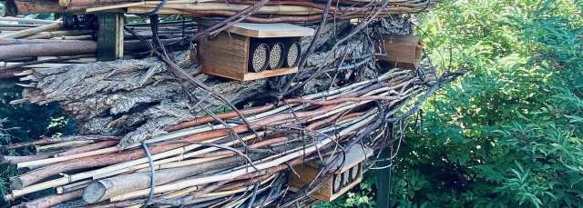 Birds and Bees Walk insect hotel