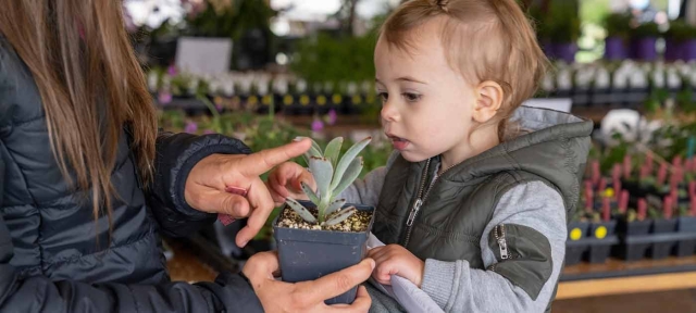 Adult holding a toddler that is touching a plant at Fall Plant & Bulb Sale.