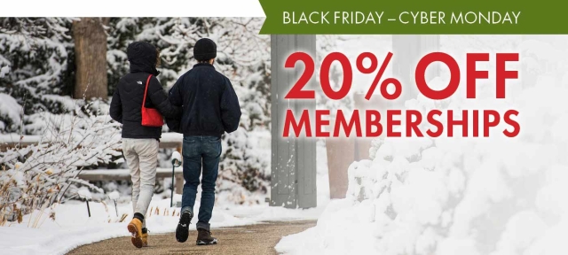 Black Friday / Cyber Monday 20% off memberships