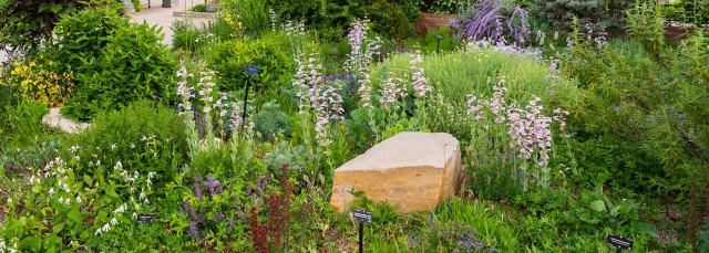 Plant Select Garden at Denver Botanic Gardens