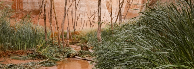 Elliot Ross, "Geography of Hope no. 1," film, 2022. Elliot Ross, "Geography of Hope no. 1," film, 2022.