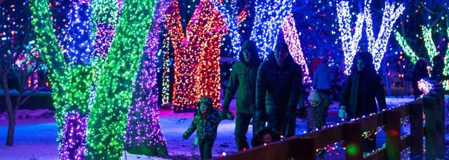 Trail of Lights at Chatfield Farms