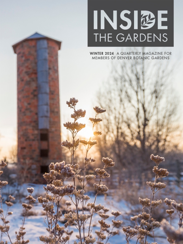Winter 2024: Inside the Gardens