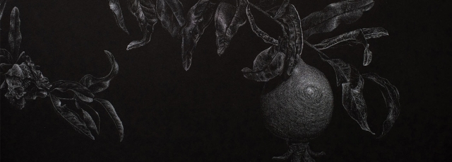 Catherine Owens, "Pomegranate" (detail), pen and ink, 2022.