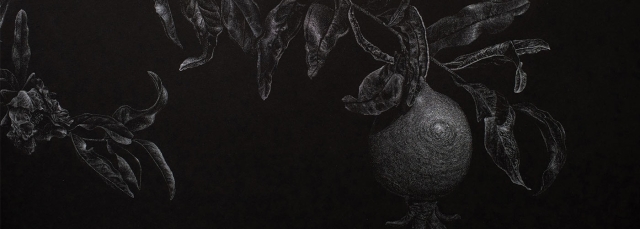 Catherine Owens, "Pomegranate" (detail), pen and ink, 2022. Catherine Owens, "Pomegranate" (detail), pen and ink, 2022.