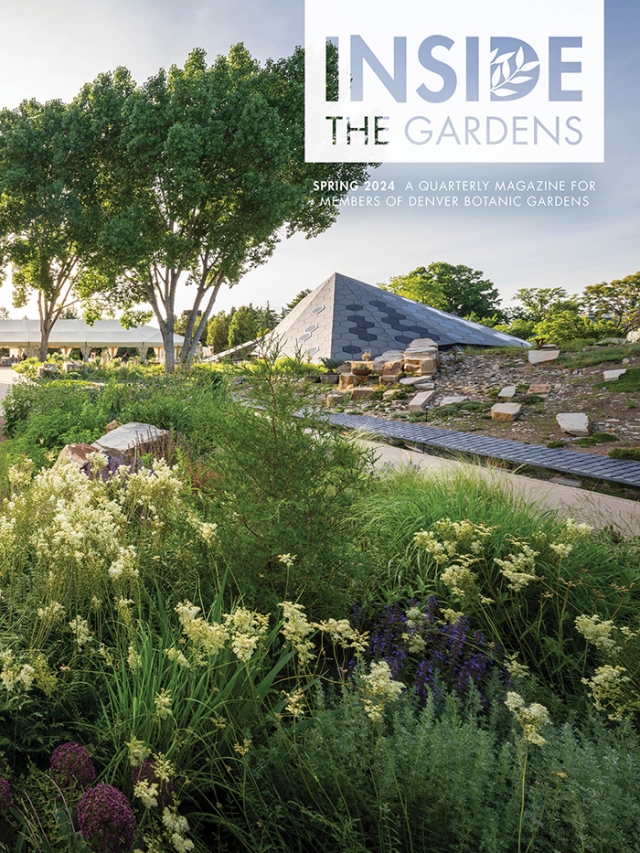 2024 Spring Magazine