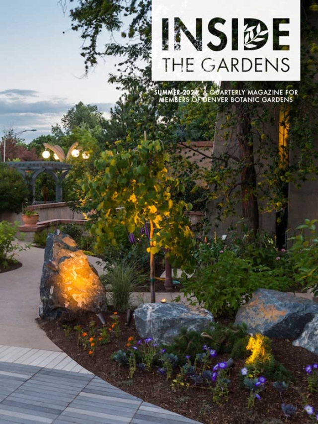 2024 Summer Magazine