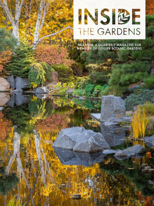 Inside the Gardens Fall 2024