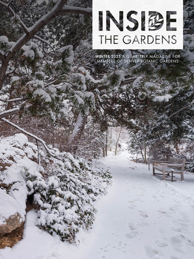 Denver Botanic Gardens Winter 2025 Magazine cover