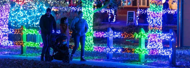 Brightly colored holiday lights are wrapped around three trunks outside at night. People are in the foreground.