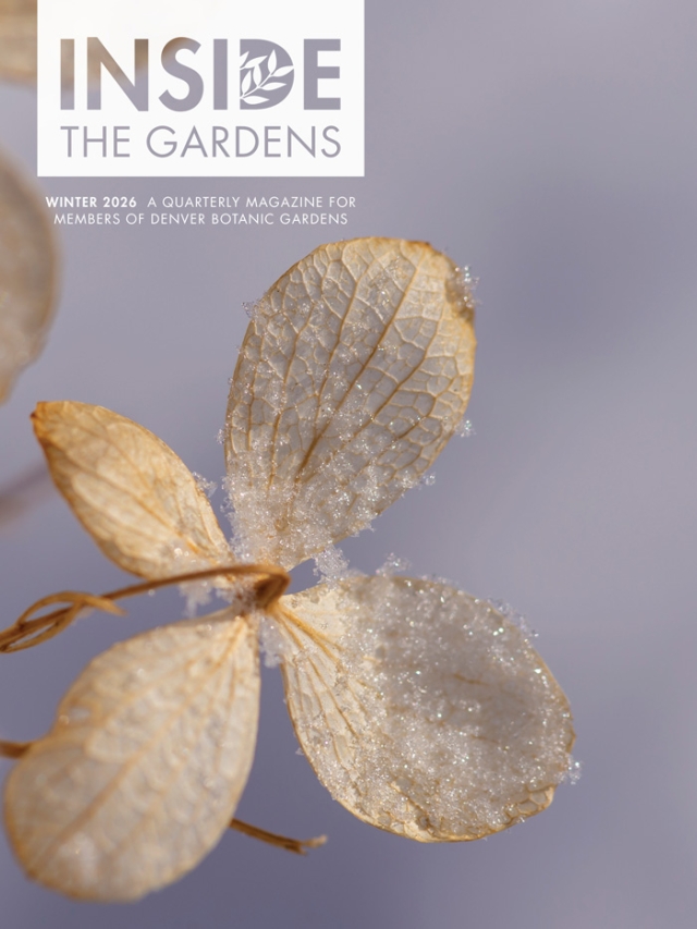 Inside the Gardens magazine winter 2026