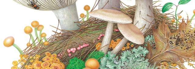 Karen Kluglein, “Magic (detail),” watercolor on illustration board, 2023.