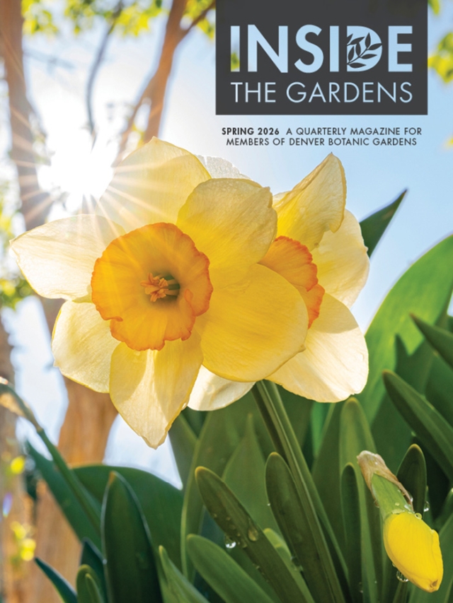 ITGMag Q2 Spring 2026 COVER 