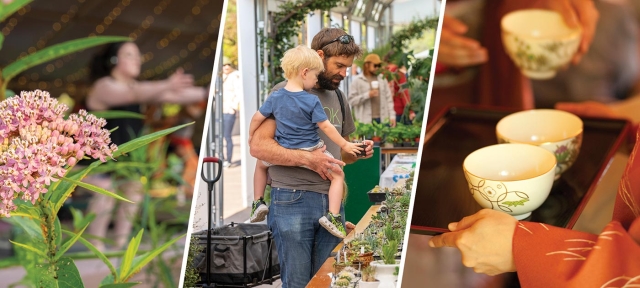 Photo collage of a yoga session, a plant sale and a tea ceremony