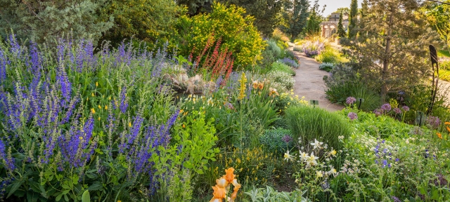 Colorful flowers in a water-smart garden surround a gravel path.
