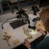 Natural History Collections Tour