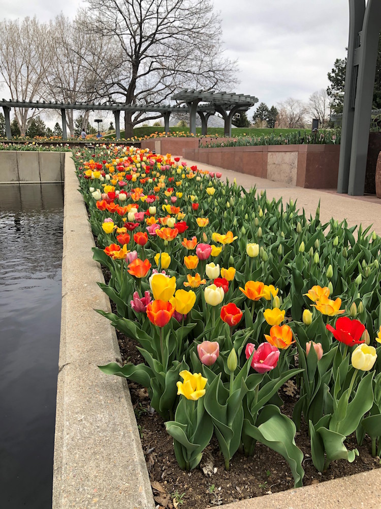 Monthly SelfGuided Walking Tour Denver Botanic Gardens
